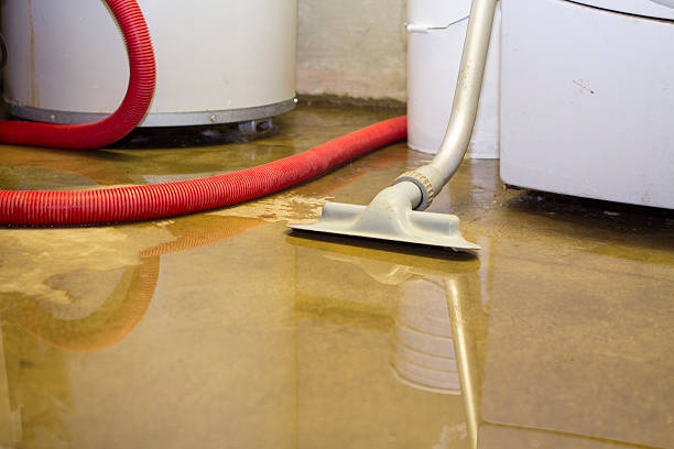 Best Commercial water damage restoration  in Sartell, MN
