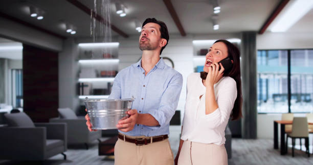Best Water damage restoration near me  in Sartell, MN