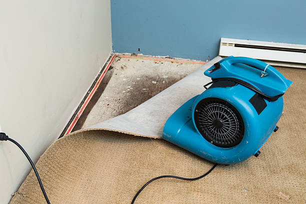 Best Flooded house restoration  in Sartell, MN